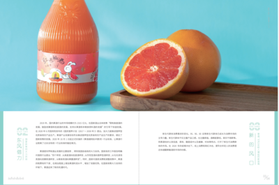 喔喔簡報 兔子喔喔招商產(chǎn)品手冊